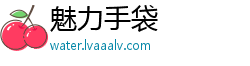 魅力手袋